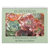 Echeverias: vetplanten van Debra Lee Baldwin Kalender (Hoes)