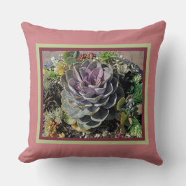 "ECHEVERIE EN ANDERE SUCKUNDIGEN" KUSSEN