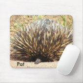 echidna_01, Pat Muismat (Met muis)