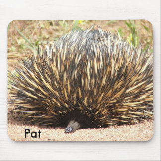 echidna_01, Pat Muismat