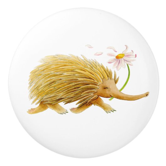 Echidna Animal waterverf whimsy art knop (Voorkant)