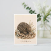 Echidna-ansichtkaart | Bush-editie Briefkaart (Staand voorkant)