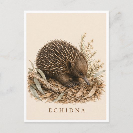 Echidna-ansichtkaart | Bush-editie Briefkaart (Voorkant)