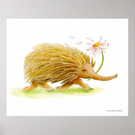Echidna aquarel gril kunstposter poster