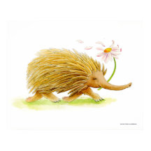 Echidna aquarel grillige kunstposter