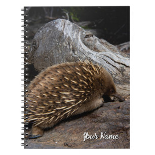 Echidna Australia Notitieboek