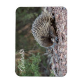 Echidna, Australië Magneet (Verticaal)
