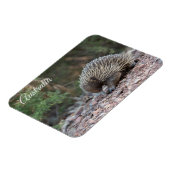 Echidna, Australië Magneet (Linkerzijde)