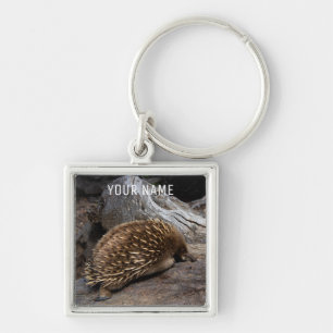Echidna Australië Schattig Dierlijk Anteater Sleutelhanger