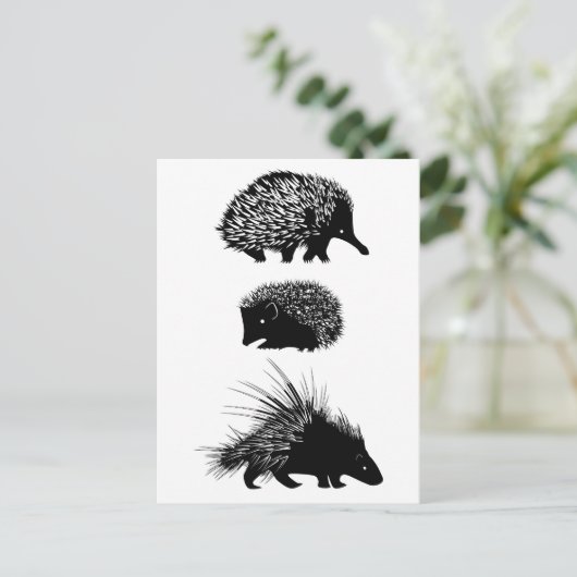 Echidna, egel, porcupine briefkaarten (Staand voorkant)