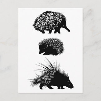 Echidna, egel, porcupine briefkaarten