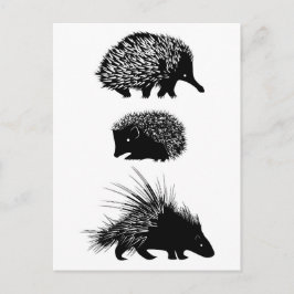 Echidna, egel, porcupine briefkaarten