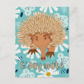 Echidna in bloei neer onder groeten briefkaart (Voorkant)