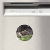 Echidna Magneet (Insitu (Vaatwasser))