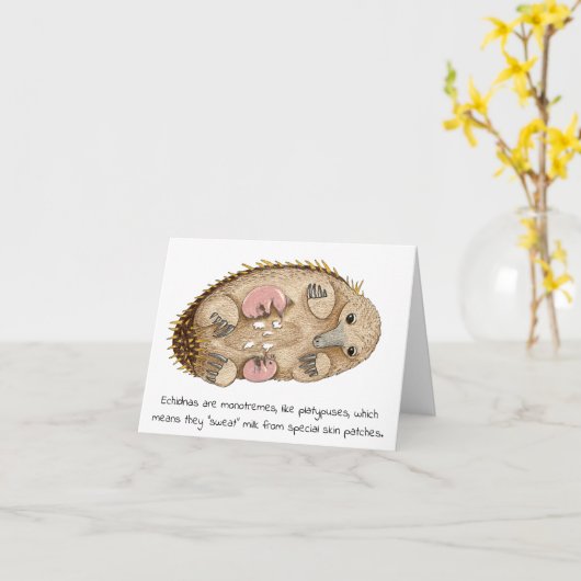 Echidna Moederdag Kaart (Gele Bloem)