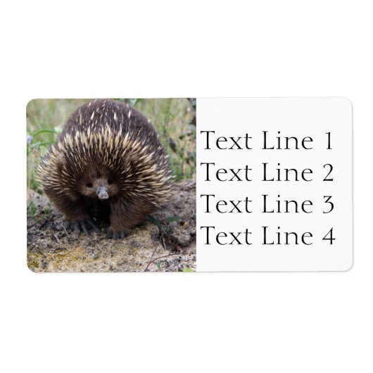 Echidna of Spiny Anteater Australia Etiket (Voorkant)