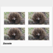 Echidna of Spiny Anteater Australia Rechthoekige Sticker (Vel)