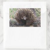 Echidna of Spiny Anteater Australia Rechthoekige Sticker (Tas)