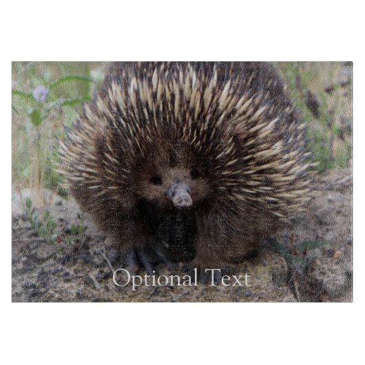 Echidna of Spiny Anteater Australia Snijplank (Voorkant)