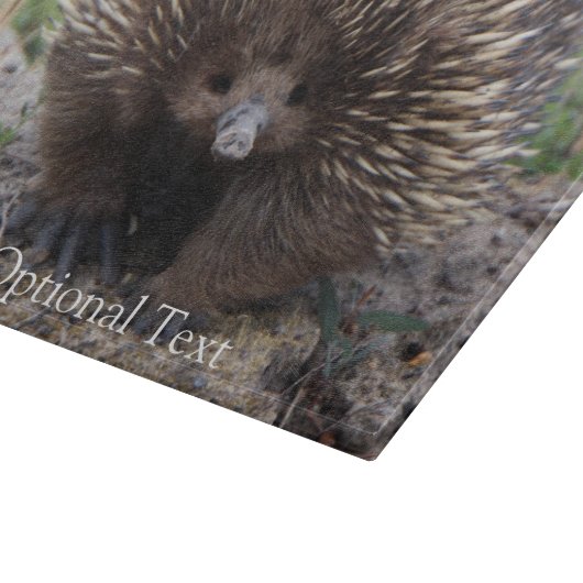 Echidna of Spiny Anteater Australia Snijplank (Hoek)