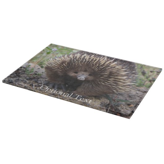 Echidna of Spiny Anteater Australia Snijplank (Hoek)