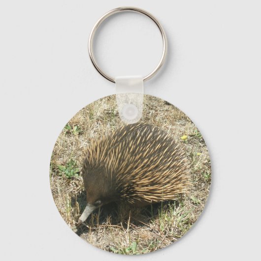 Echidna Sleutelhanger (Voorkant)