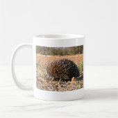 Echidna - Tachyglossus aculeatus Koffiemok (Links)