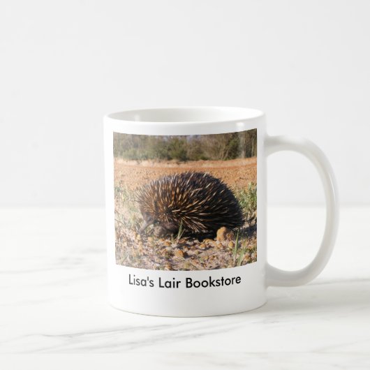 Echidna - Tachyglossus aculeatus Koffiemok (Rechts)