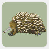 Echidna Vierkante Sticker (Voorkant)