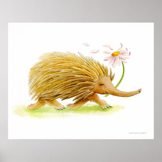 Echidna watercolor gril kunstposter poster (Voorkant)