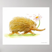 Echidna watercolor wuftheid kunstposter poster (Voorkant)