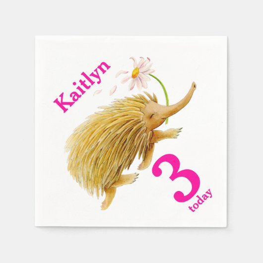 Echidna waterverf art. 3e verjaardag luiers servetten (Voorkant)