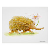 Echidna waterverf whimsy poster (Voorkant)