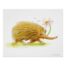 Echidna waterverf whimsy poster
