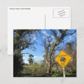 echidnas vooruit briefkaart (Voorkant / Achterkant)