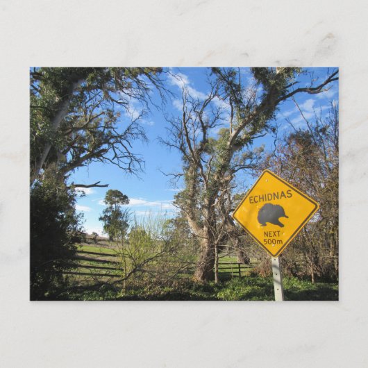 echidnas vooruit briefkaart (Voorkant)