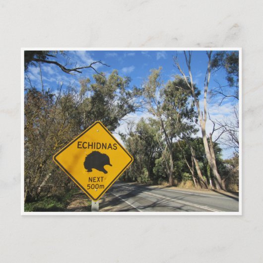 echidnas wegreis briefkaart (Voorkant)