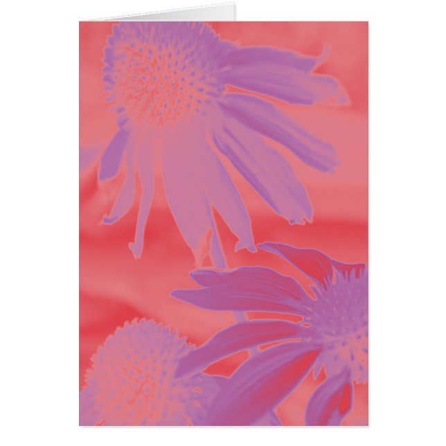 Echinacea #9 Neon Glow (Voorkant)