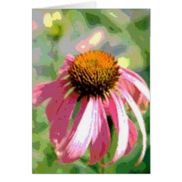 Echinacea Abstracte Kaart