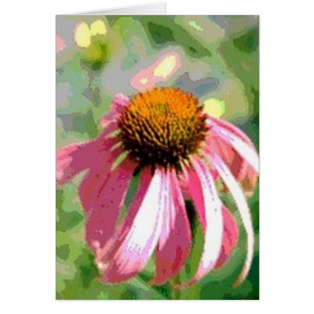 Echinacea Abstracte Kaart (Voorkant)