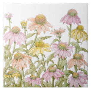 Echinacea Aquarel Botanische Kunst Tegeltje