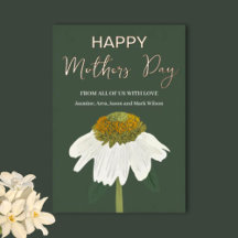 Echinacea Bloem Gelukkige Moeders Dag Goud