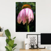 Echinacea Bloem in de wind Poster (Thuiskantoor)