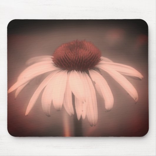 Echinacea Bloem  zwart en wit Muismat (Voorkant)