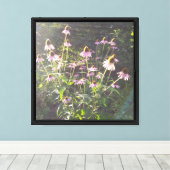 Echinacea Bloemen in de Zon Canvas Afdruk (Insitu (Houten vloer))