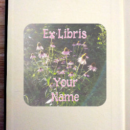 Echinacea Bloemen in de Zon Ex Libris Vierkante Sticker