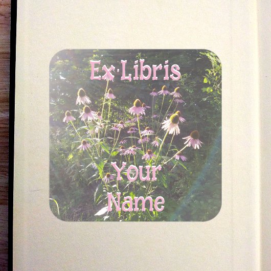 Echinacea Bloemen in de Zon Ex Libris Vierkante Sticker
