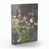 Echinacea Bloemen in de Zon Fotoblokken (Links)