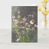 Echinacea Bloemen in de Zon Kaart (Gele Bloem)
