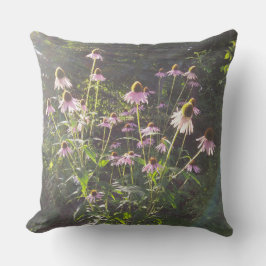 Echinacea Bloemen in de Zon Kussen